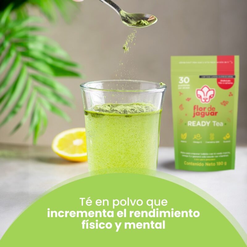 READY Tea 3 pzas - Imagen 5