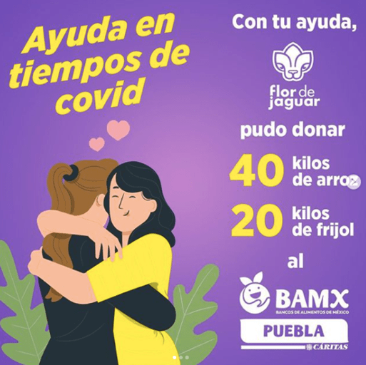 Imagen2