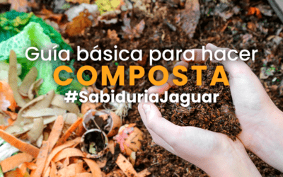 Guía básica para hacer composta