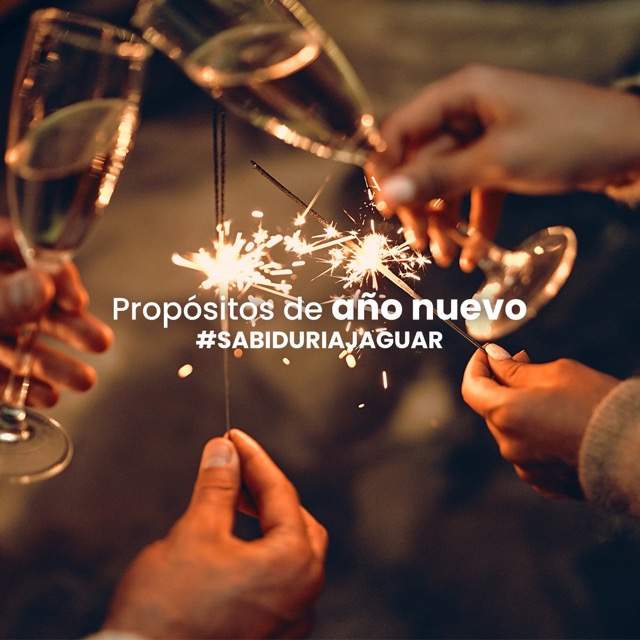 Propósitos de Año Nuevo