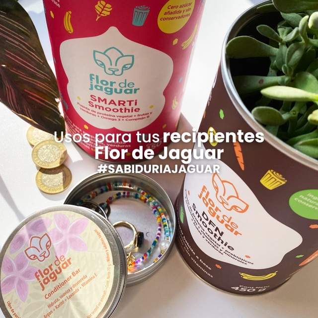 Usos para tus recipientes Flor de Jaguar