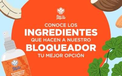 Conoce los ingredientes que hacen a nuestro Bloqueador tu mejor opción